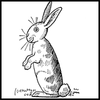 How to Draw Bunny Rabbits for Easter with Easy Step by Step Drawing Lesson