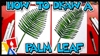 How To Draw A Palm Leaf