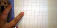 How To Use A Grid To Make Drawing Simple