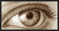 Drawing a Photo-Realistic Eye Lesson