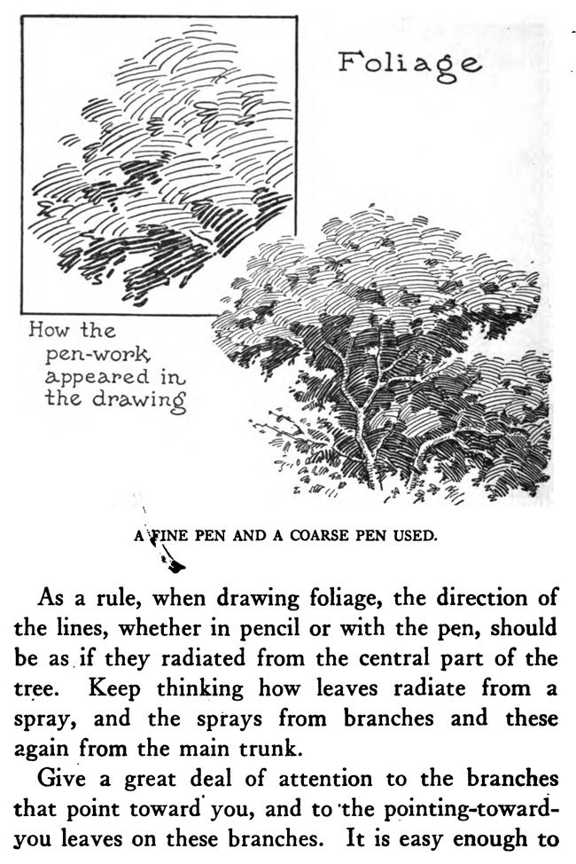 Drawing Pen and Ink for Foliage and Tree Leaves
