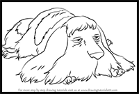 How to Draw Heen from Howl's Moving Castle
