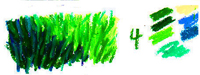 How to Draw Grass in Oil Pastels