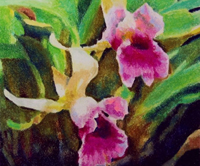 Pastel Drawing Tutorial – Pink Orchids