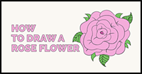 How to Draw a Rose Flower