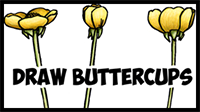 How to Draw Buttercups / Buttercup Flowers in Easy Steps