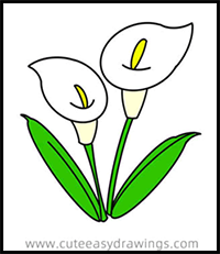 How to Draw Calla Lily Easy Step by Step for Kids