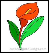 Calla Lily Flower Drawing Easy in Pencil for Kids