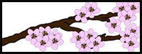 How to Draw Cherry Blossom