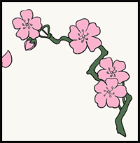 How to draw Cherry Blossoms