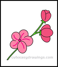Cherry Blossom Flowers Drawing Tutorial Step by Step for Kids