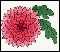 How to Draw a Chrysanthemum