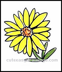 How to Draw a Yellow Chrysanthemum Step by Step for Kids