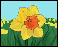 How to Draw a Daffodil