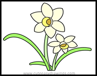 How to Draw a Daffodil Easy Step by Step for Kids
