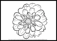 How to Draw Dahlia Flower