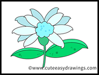 Edelweiss Drawing Easy Step by Step for Kids
