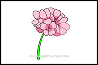 How to Draw Geranium Flower Easy Step by Step for Kids