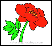 How to Draw a Hibiscus Flower Easy Step by Step for Kids
