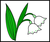 How to Draw a Lily of the Valley Easy Step by Step for Kids