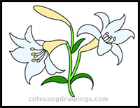 How to Draw Lilies Easy Step by Step for Kids