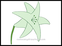 How to Draw a Lily Flower Step by Step for Kids