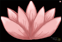 How to Draw a Lotus Flower for Kids