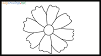 How to draw a Marigold flower step by step