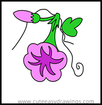 How to Draw a Morning Glory Flower and a Bud Easy