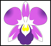 Exotic Cartoon Thai Orchid Drawing!