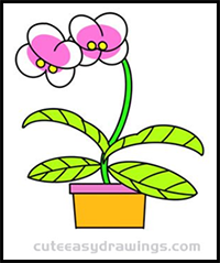 How to Draw a Phalaenopsis Orchid Bonsai Easy for Kids