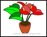 How to Draw a Pot of Anthurium Easy Step by Step for Kids