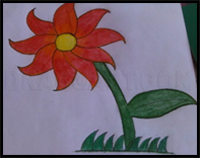 How to draw a flower - easy