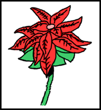 How to Draw a Poinsettia