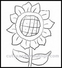 How to Draw a Sunflower Step by Step for Beginners