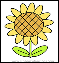 How to Draw a Colored Sunflower Easy Step by Step for Kids