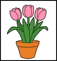 How to Draw Tulips