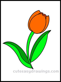 How to Draw a Tulip Flower Easy