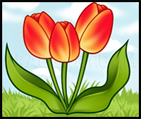 How to Draw Spring Tulips