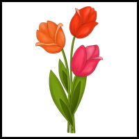 Learn how to Draw Tulips