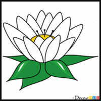 How to Draw Water Lily, Flowers