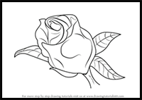 How to Draw a Beautiful Rose