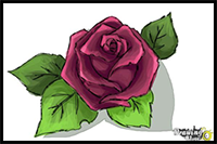How to Draw a Beautiful Rose
