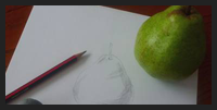 Learn to Draw a Simple Still Life Picture
