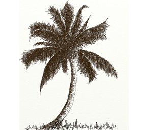 Featured image of post Easy Coconut Tree Scenery Drawing - Learning objectives(s) that this lesson is contributing to.