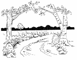 Featured image of post Simple Forest Landscape Drawing