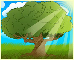 How to Draw a Cartoon Oak Tree Step by Step