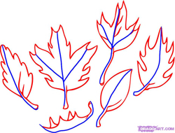 How to Draw Leaves