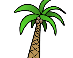 How to Draw Palm Trees Step by Step