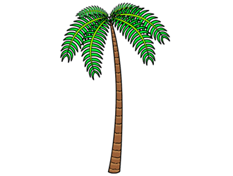 Palm Tree Cartoon Drawing Tutorial